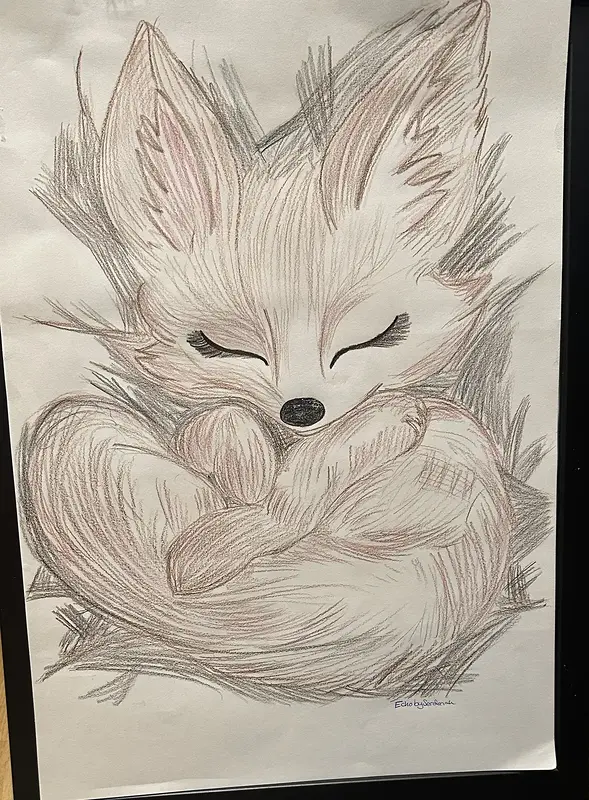 Sovräven av Hayat Serdenak