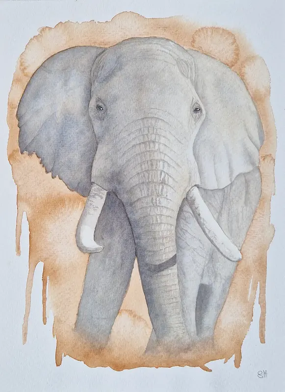 Akvarell Savannens jätte av Susanne Hagemark