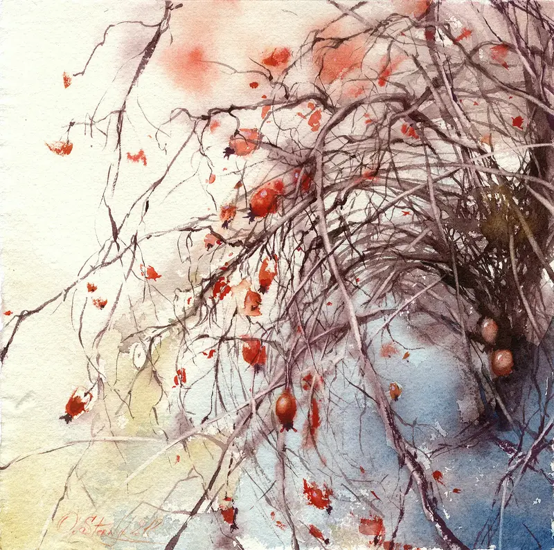 Akvarell Nypon i vintern av Olga Sternyk