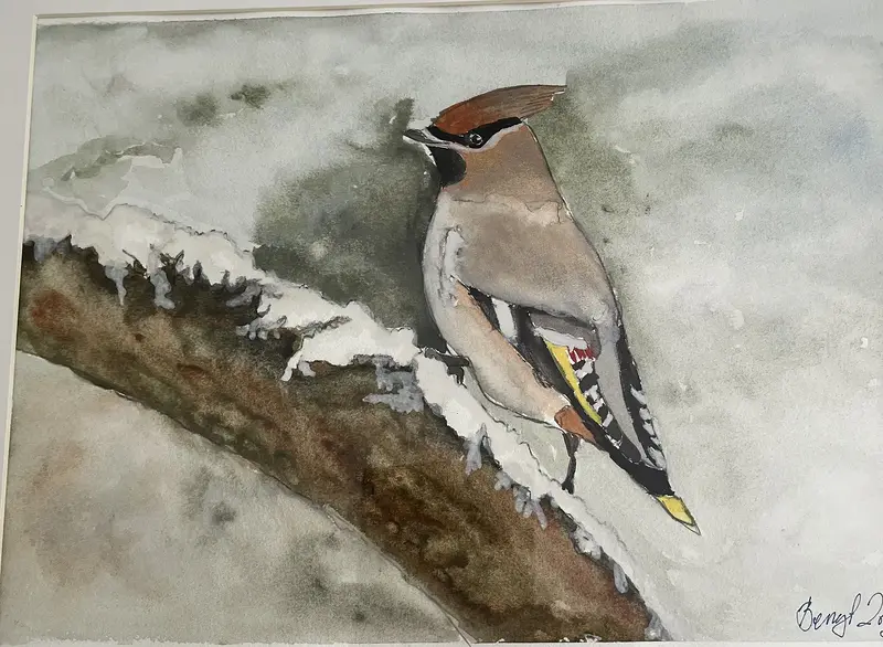 Akvarell Fågel av Bengt Uusitalo