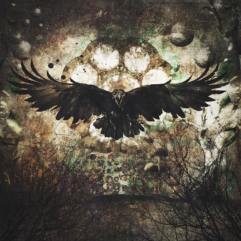 Raven 3 av Kristin Couch