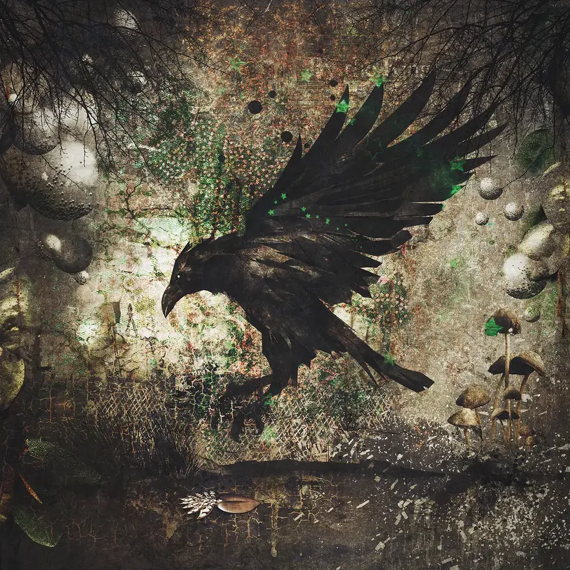 Raven 2 av Kristin Couch