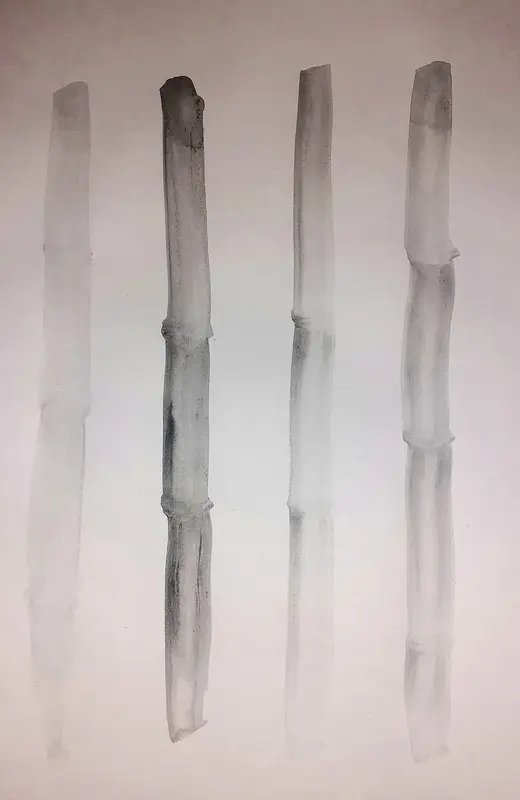 Akvarell Bambu av Annelie Winebäck