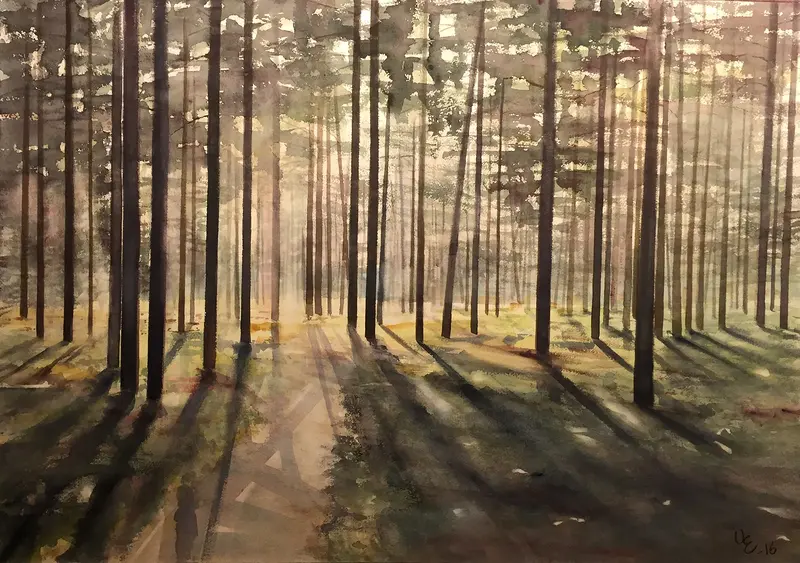 Akvarell Tallskog av Ulf Eriksson