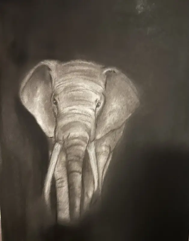 Elefant av Maria Sköld