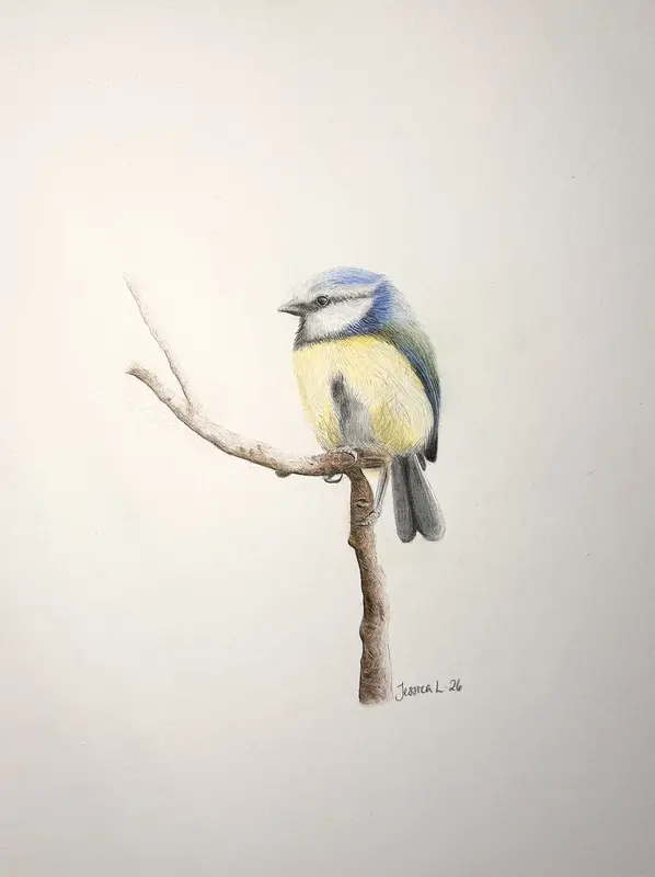 Blåmesen av Jessica Larsson