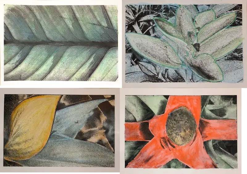 Art Naturel 2025 / 1  (1-4) av Alo