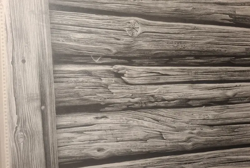 Timmervägg av Mats Olsson