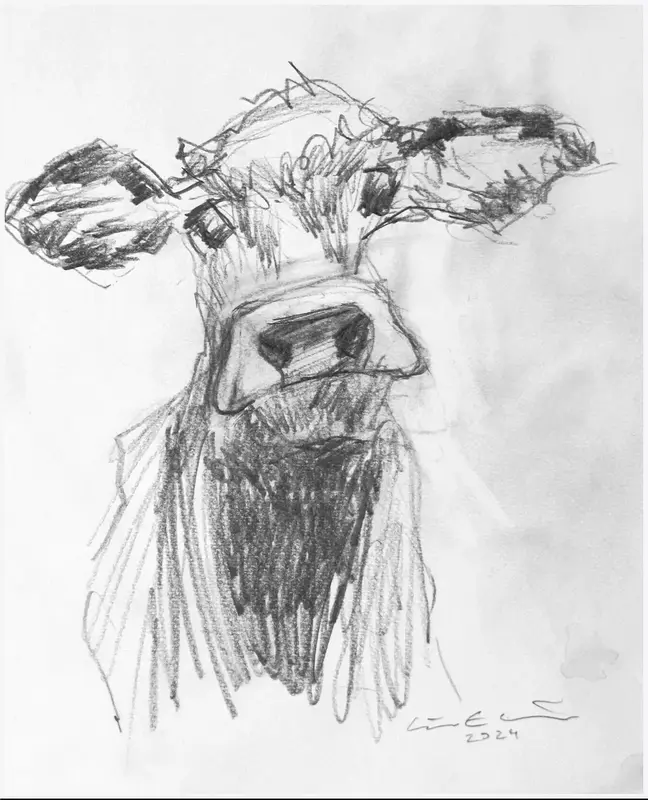 Klara av Göran Ekström