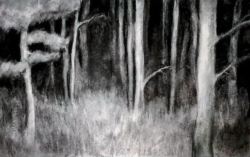 Nattetid av Aakifa Qureshi