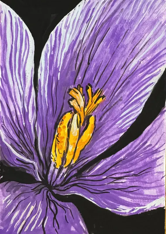 Crocus av Ekaterina Dutkevich