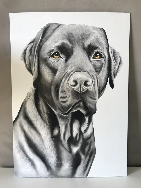 Christoffer Malmgren