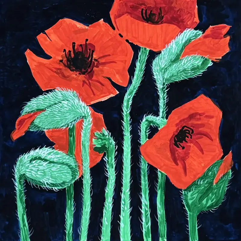 Vallmo blommor av Ekaterina Dutkevich