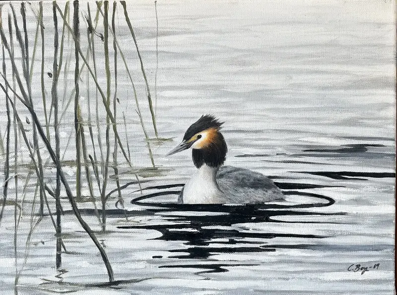 Oljemålning Skäggdopping av Caroline Berg