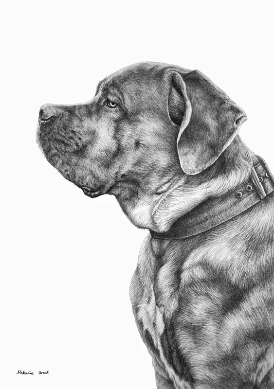 A4 portrait example av Natalia Orest