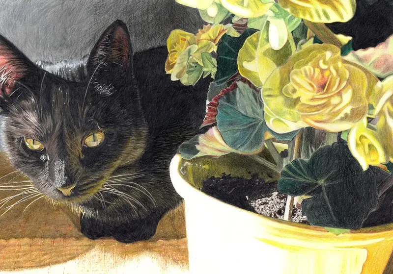 Signe på köksbordet av Anders Haglund