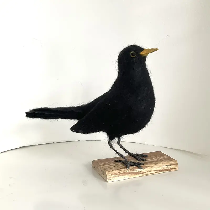 Koltrast av Lisette Friberg