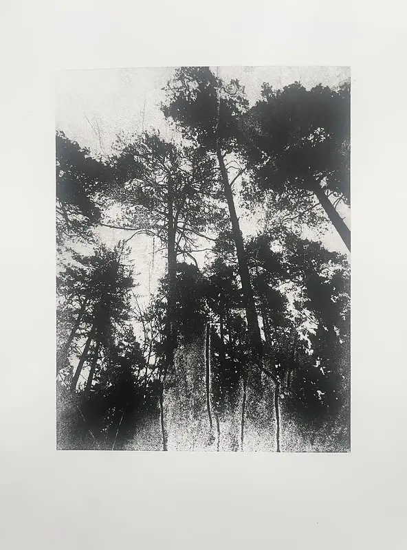 Oljemålning Woodtree av Ann Hjers