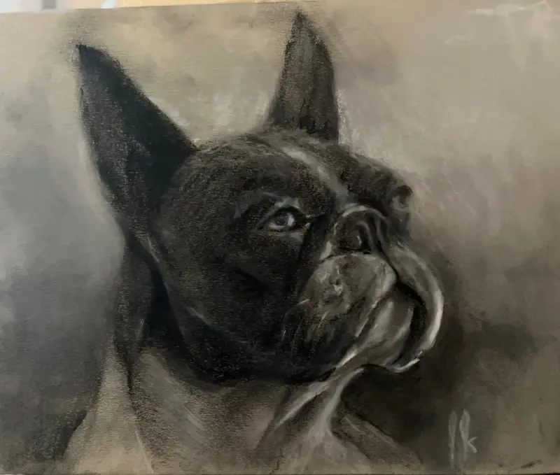 Boston Terrier av Joe Jersak