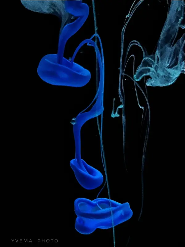 Blueface av Yvette Mariedahl