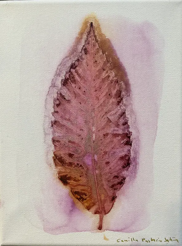 Botanical Studies IV av Camilla Puskaric Schön