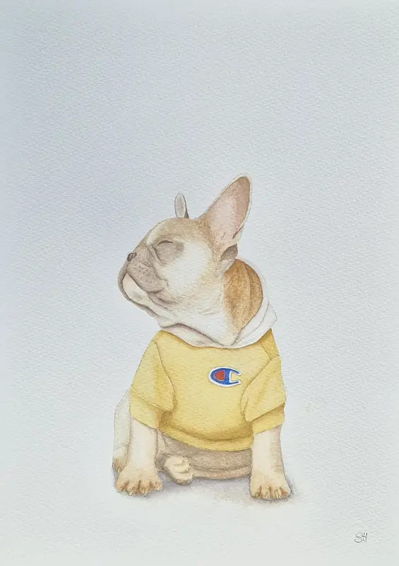 Akvarell Nöjd. Fransk bulldog no2 av Susanne Hagemark