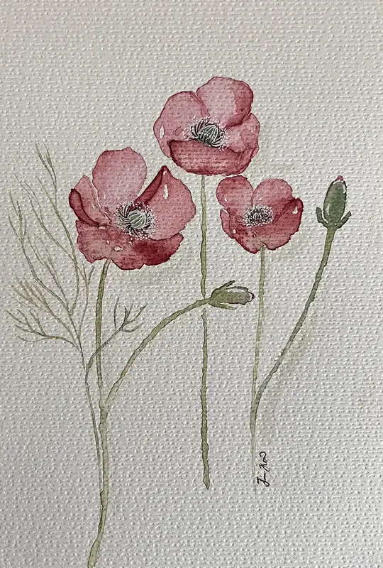 Vallmo av Jessica Paintbyhowsan