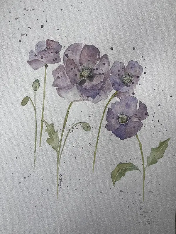 Lila vallmo av Jessica Paintbyhowsan