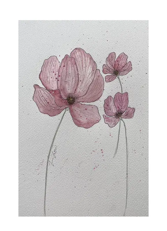 Akvarell Vallmo av Jessica Paintbyhowsan