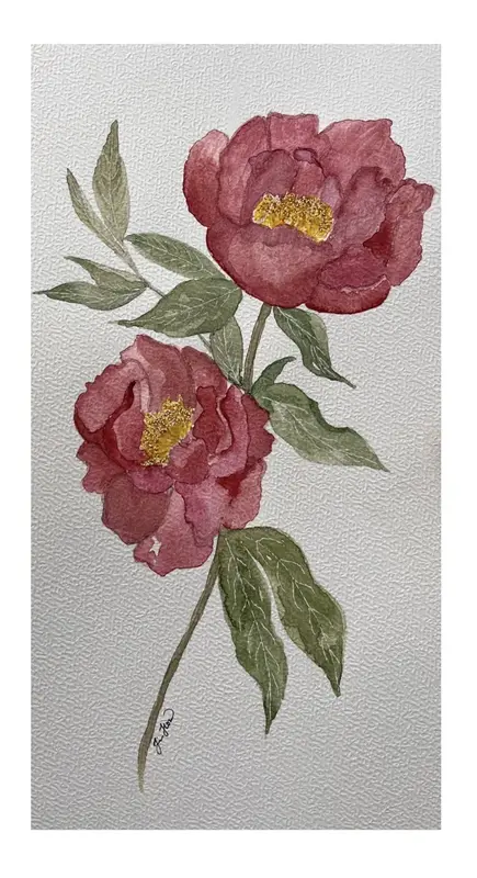 Akvarell Pion av Jessica Paintbyhowsan