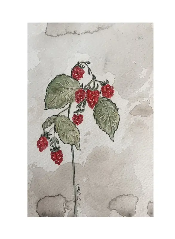 Akvarell Hallon av Jessica Paintbyhowsan