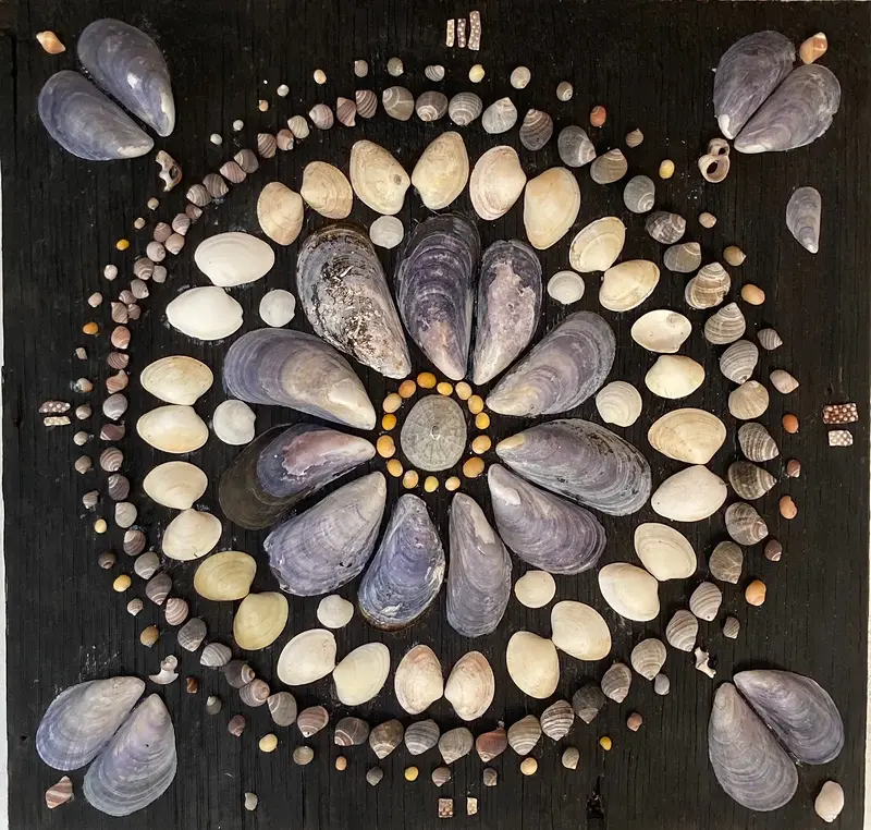 Mandala av snäckor och musslor av Nina Romanus