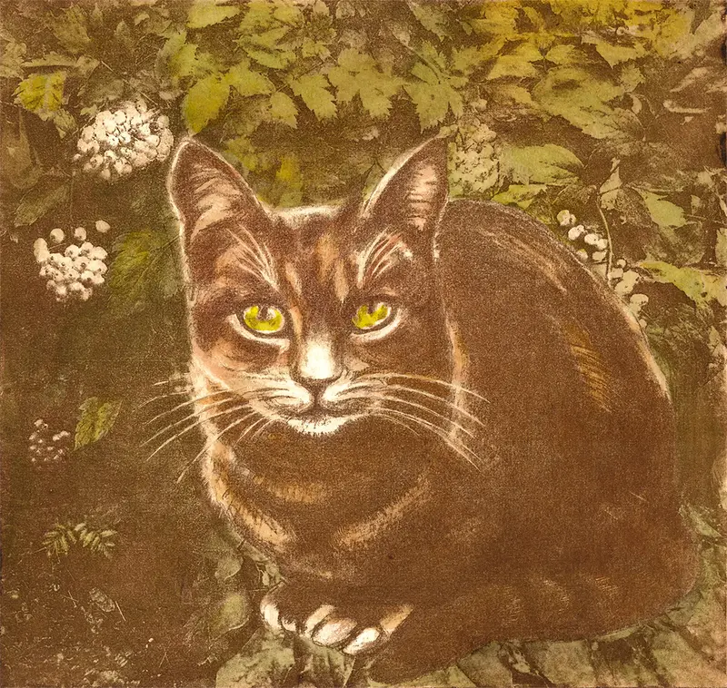 Katt och trolldruvor av Marita Bergström