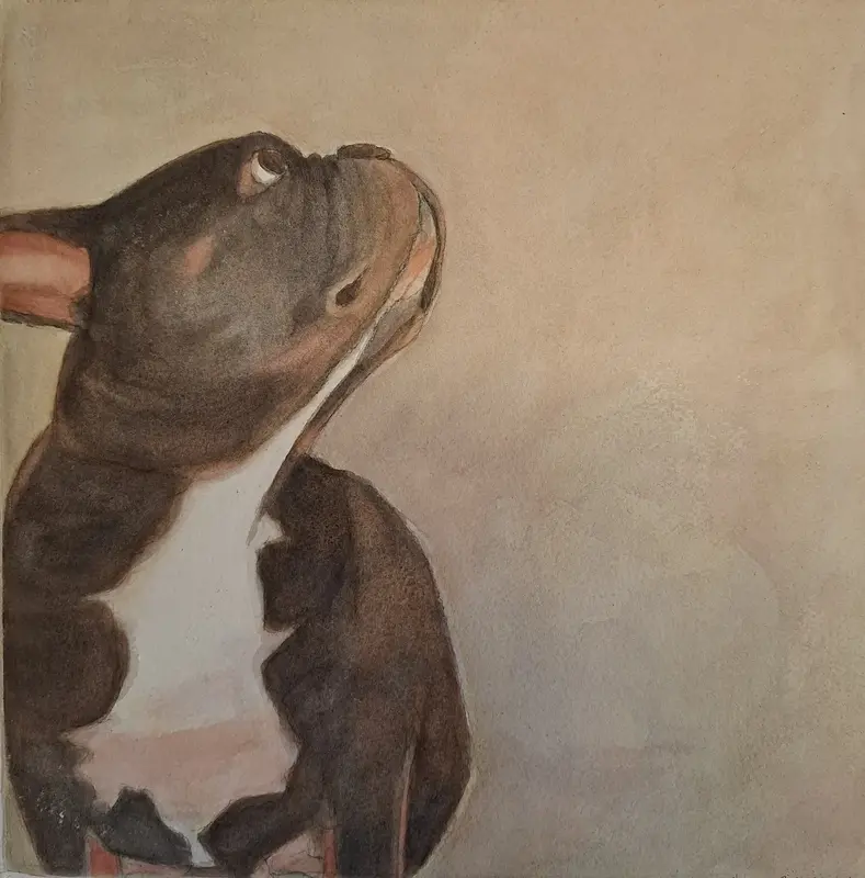 Akvarell Lovis 1 av Anna Schyberg Hansen