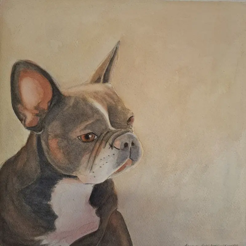 Akvarell Lovis 2 av Anna Schyberg Hansen