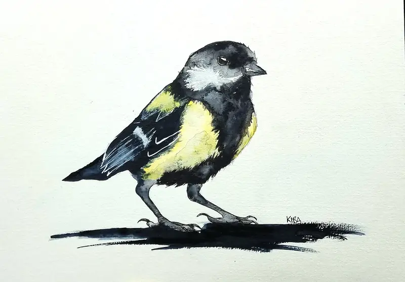 Akvarell Talgoxe av Kiba Gustafsson