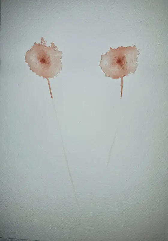 Akvarell Blomsterkroppar av Annelie Winebäck