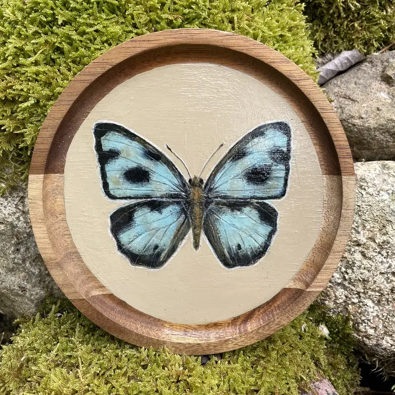 Akrylmålning Butterfly on acacia wood av Cicilia Postma