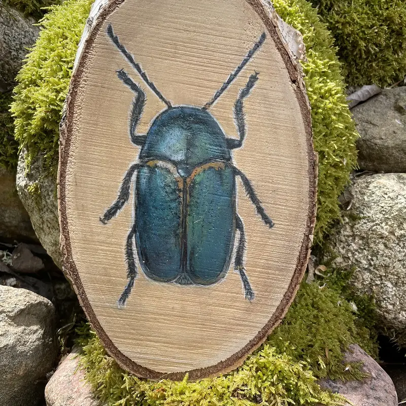 Akrylmålning Skalbagge på trä av Cicilia Postma