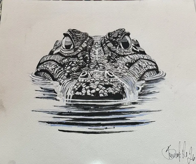 Alligator av Bengt Uusitalo