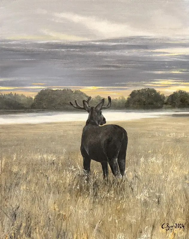 Oljemålning Älgtjur av Caroline Berg