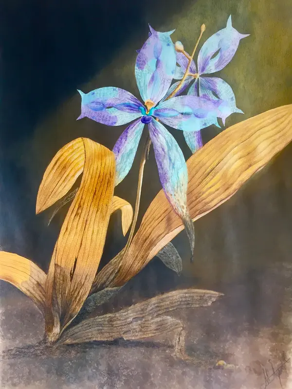 Equus x Orchideaceae XI-Humus av Marica Ågren Hagblad