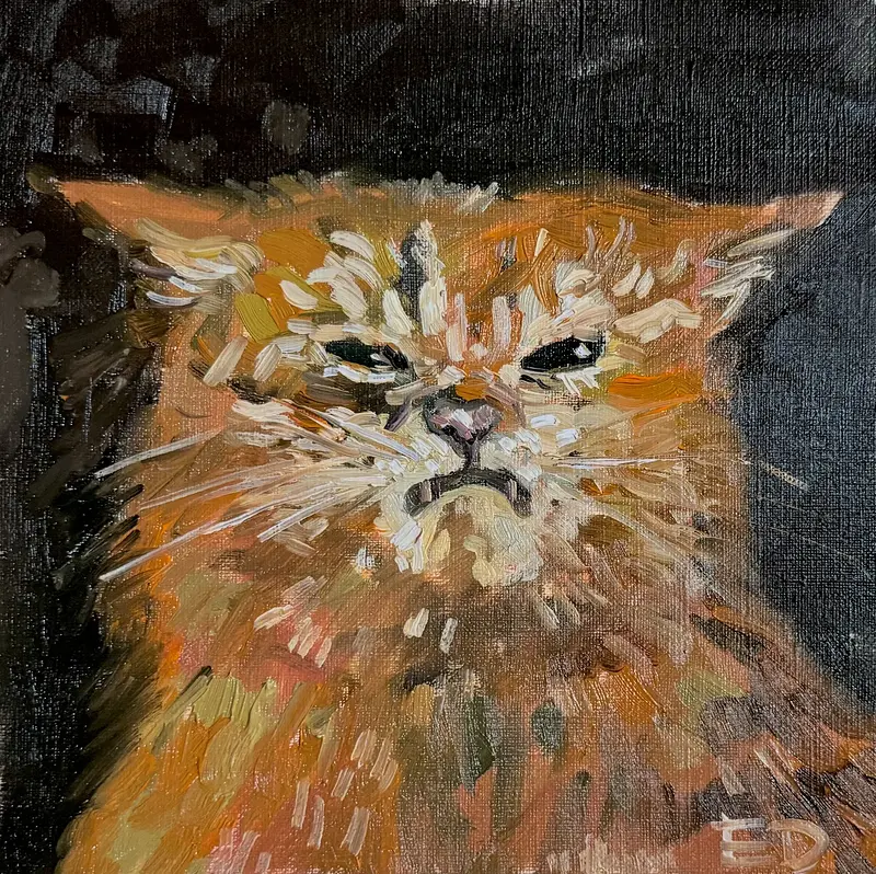 Oljemålning Katten av Ekaterina Dutkevich