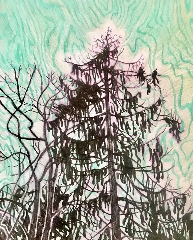 The way you move me av Li Loomis