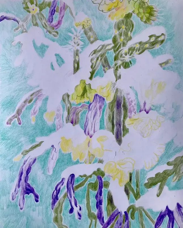 Cactus with snow av Li Loomis