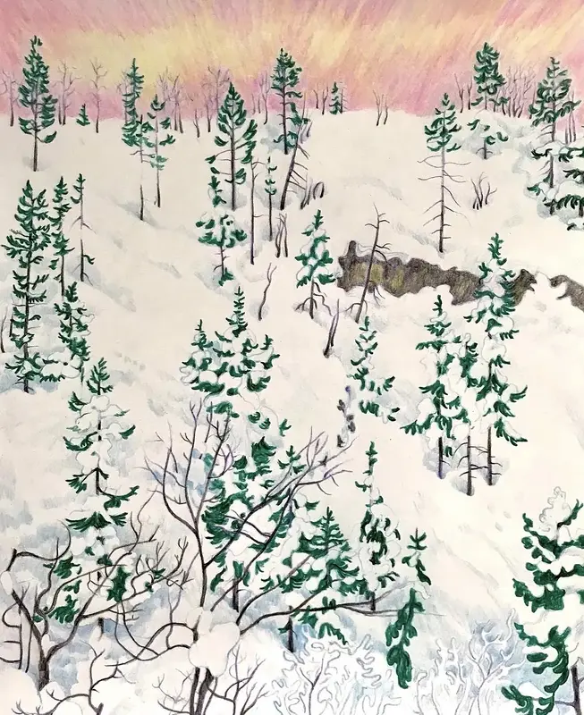 A snowy hill I once saw av Li Loomis