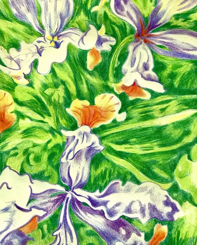 Green feels good on the eyes av Li Loomis