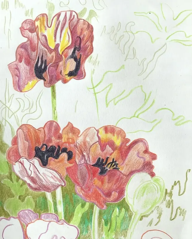 Poppies av Li Loomis
