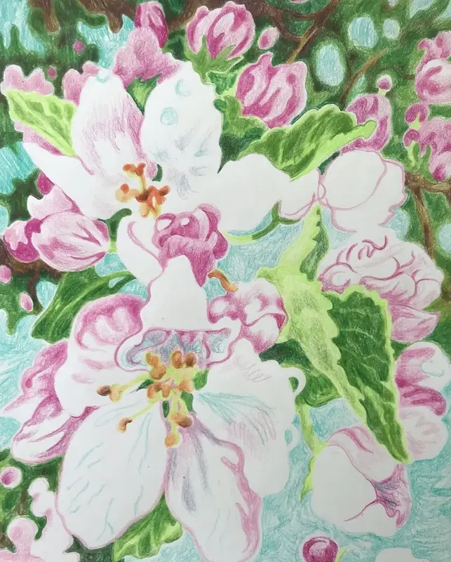 Blossom on the tree av Li Loomis