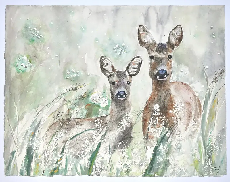 Akvarell Rådjuren smyger fram av Cécile Hansson